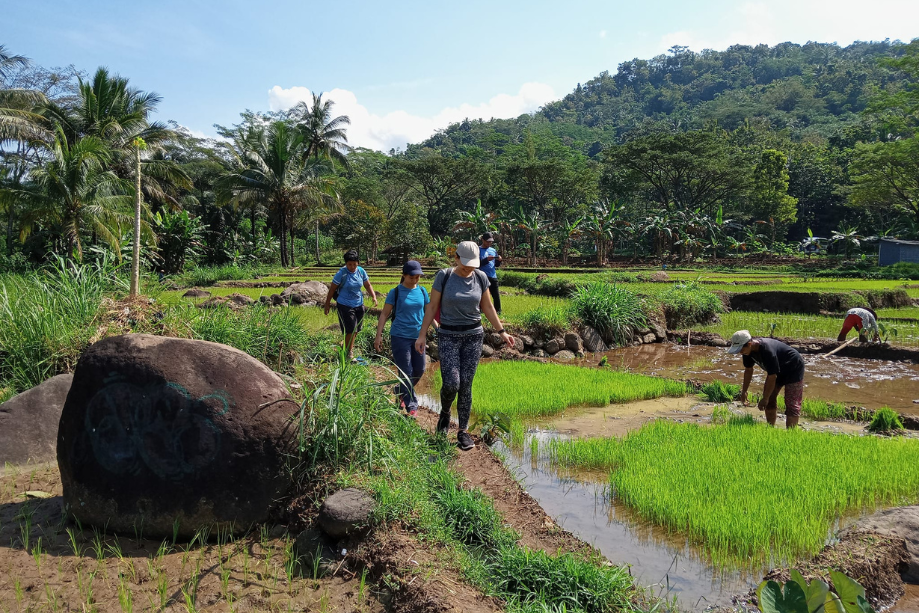 konsep study tour edukatif