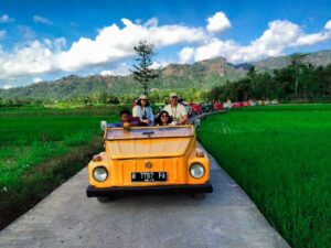 tips memilih eo