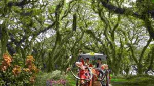 paket liburan keluarga Banyuwangi 3 hari 2 malam