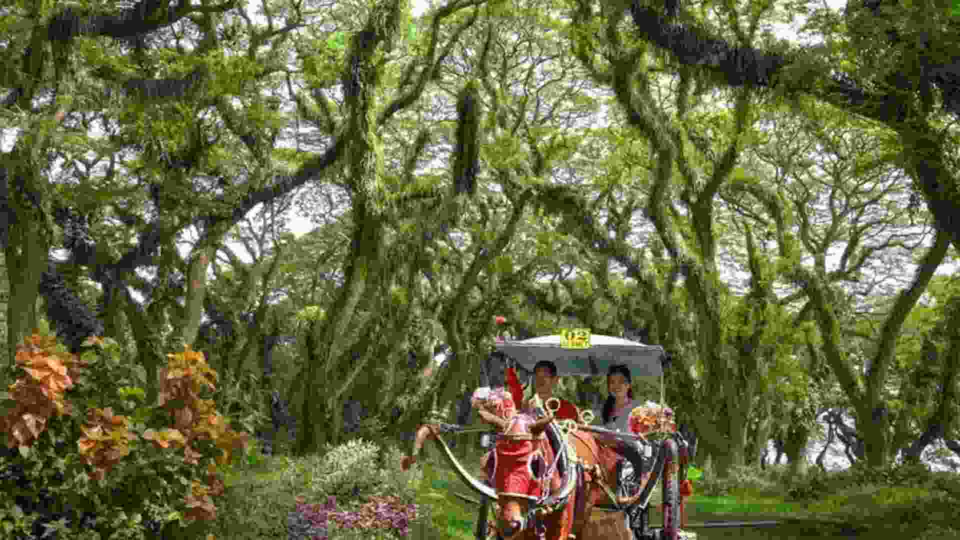 Paket Study Tour Banyuwangi 3 Hari 2 Malam - Eco Adventure Journey - Image 2