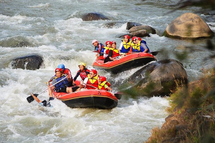 arum jeram jogja