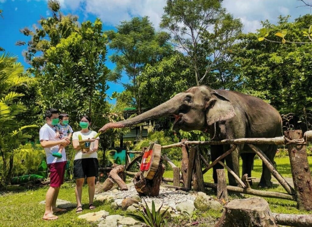 tempat wisata keluarga di jogja