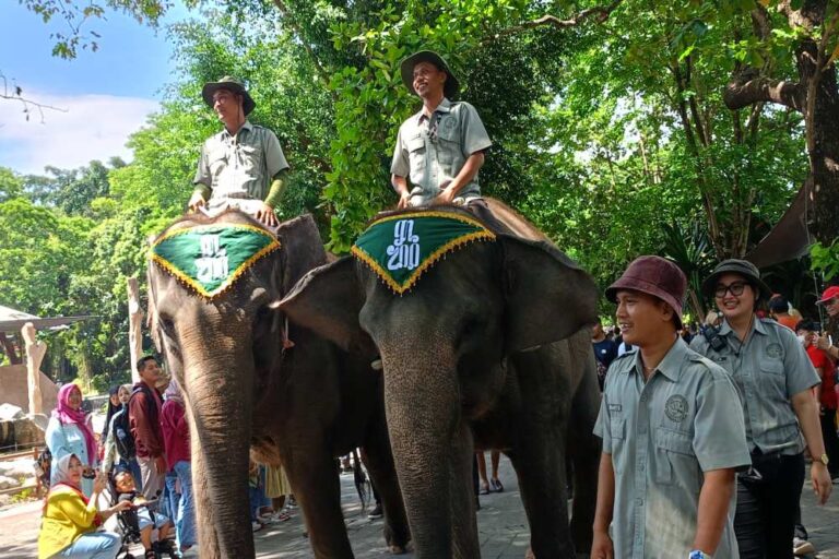 study tour jogja murah