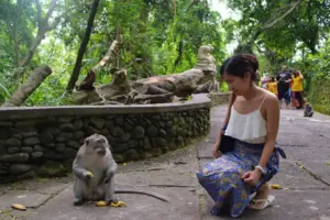 wisata bali