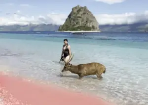 paket wisata labuan bajo termasuk hotel