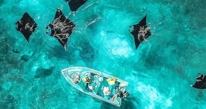harga gathering labuan bajo 4 hari 3 malam