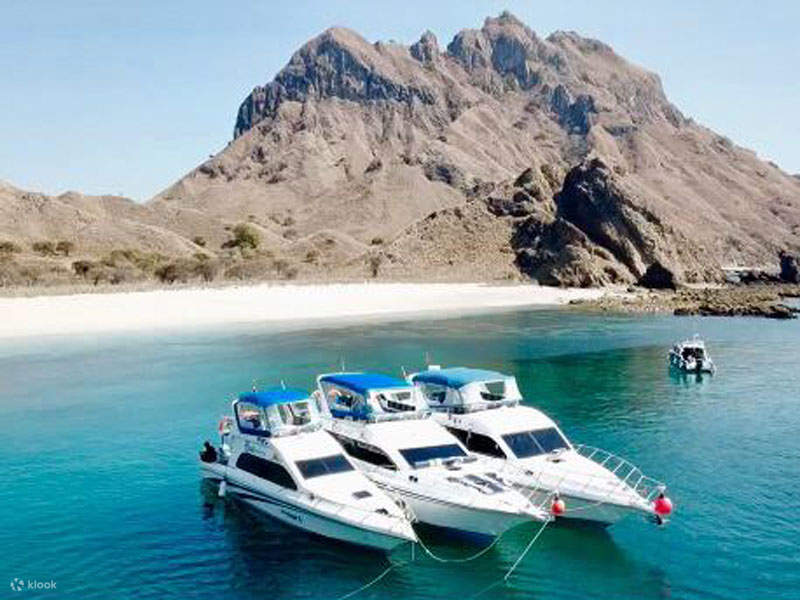 biaya wisata labuan bajo 3 hari